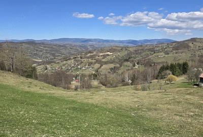 Teren de 23000 mp, în Sohodol - 3