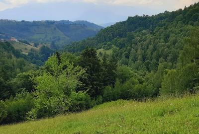 Teren de 7200 mp, în Peștera - 6