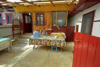 Casă cu 3 camere cu Teren 7490 Mp în Agăș