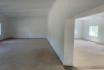 Spațiu industrial, de 330 mp, în Central - 9