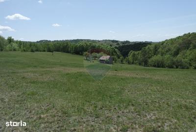 Teren de 7500 mp, în Copalnic - 9