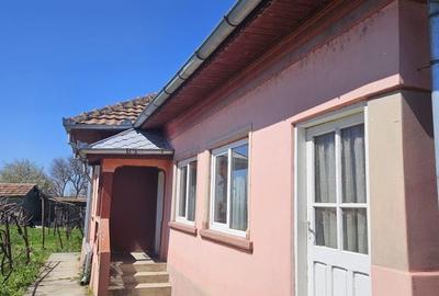 Casă cu 4 camere în Goicea - 5