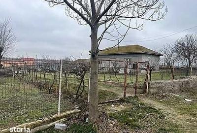 Teren de 10000 mp, în Cogealac