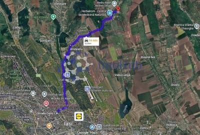 Teren Construcții intravilan de 10000 mp, în Rediu Aldei - 3