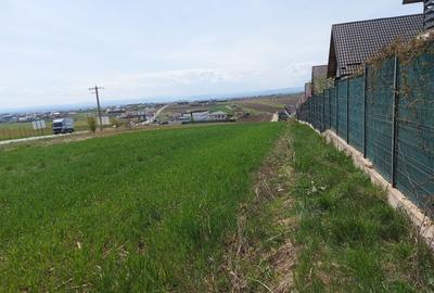 Teren agricol intravilan de 4000 mp, în Sfântu Ilie - 2