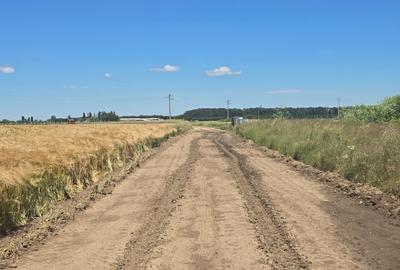 Teren intravilan de 6097 mp, în 1 Decembrie - 3