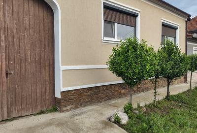Casă individuală cu 5 camere cu Canalizare în Beriu - 9