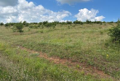 Teren agricol extravilan de 974 mp, în Ciurila - 2