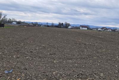 Teren de 2500 mp, în Vadu Moldovei