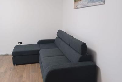 Apartament cu 2 camere decomandat în Buziașului - 3