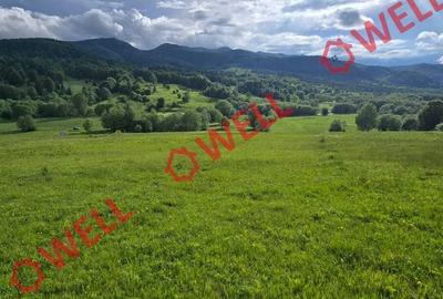 Teren de 7940 mp, în Vama Buzăului - 9
