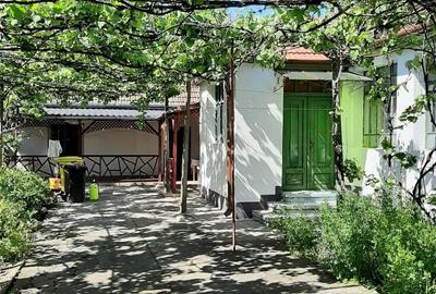 Casă cu 5 camere cu Teren 3500 Mp în Sântana