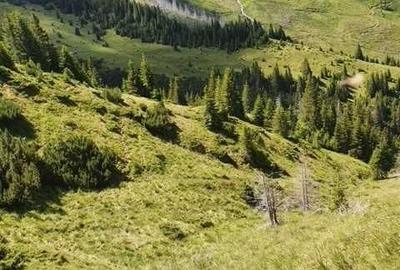 Spațiu comercial, de 1,100,000 mp, în Nucșoara - 6