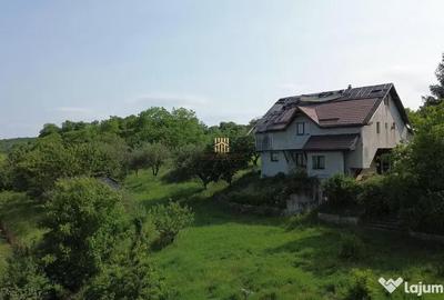 Teren de 4863 mp, în Adâncata - 7