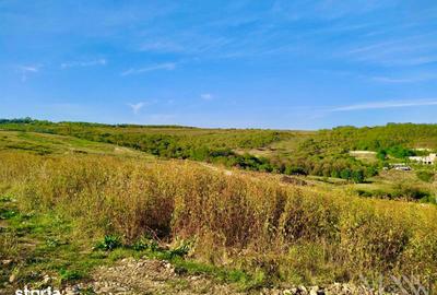 Teren de 11050 mp, în Paleu