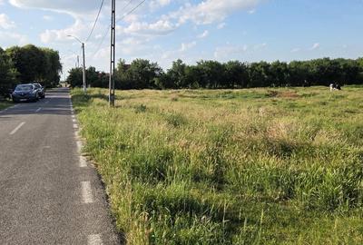 Teren de 4300 mp, în Bazoș - 2