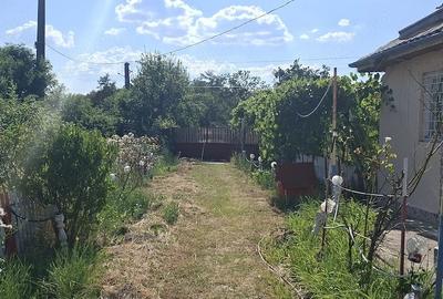 Casă cu Teren 10670 Mp în Chilia