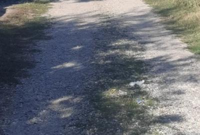 Teren de 780 mp, în Văleni - 5