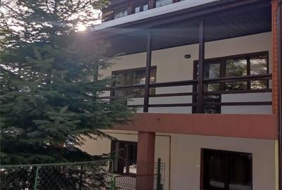 Teren de 700 mp, în Cioplea