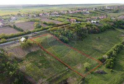 Teren Construcții intravilan de 3916 mp, în Herneacova - 3