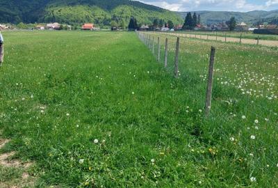 Teren de 2560 mp, în Vama Buzăului