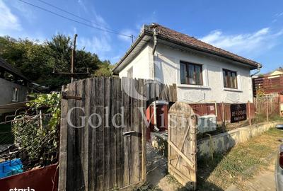 Casă cu 3 camere în Tudor