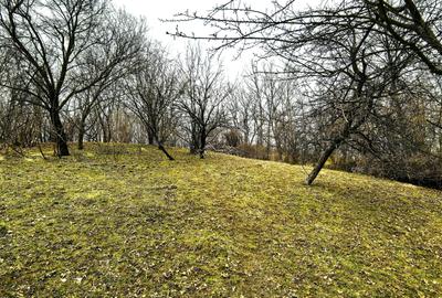 Teren agricol intravilan de 2623 mp, în Est - 6