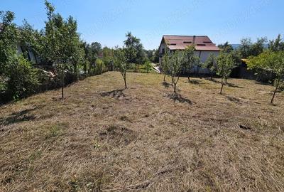 Teren de 1512 mp, în Fedeleșoiu - 9
