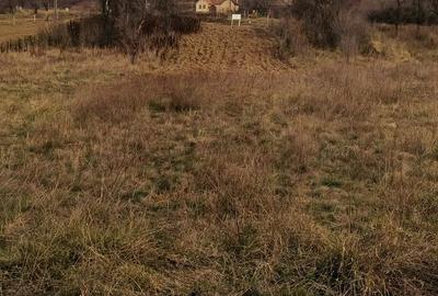 Teren de 734 mp, în Plugova - 4