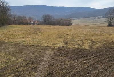 Teren Construcții intravilan de 2200 mp, în Mera - 2