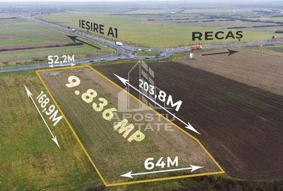 Teren agricol extravilan de 9836 mp, în Remetea Mare - 1