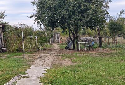Casă cu 4 camere cu Teren 2000 Mp în Moșoaia