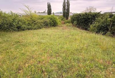 Teren de 1803 mp, în Sânmartin - 5