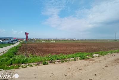 Teren Construcții intravilan de 5000 mp, în Holboca - 2