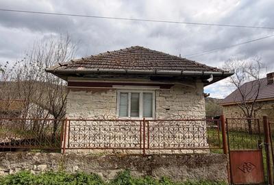 Casă cu Teren 2600 Mp în Făureni