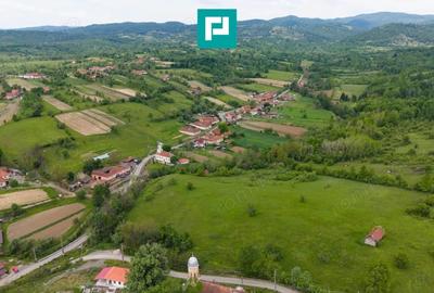 Casă cu Teren 24494 Mp în Lupești - 7