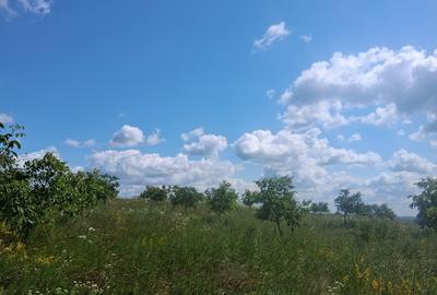 Teren agricol extravilan de 7000 mp, în Zvoriștea - 8