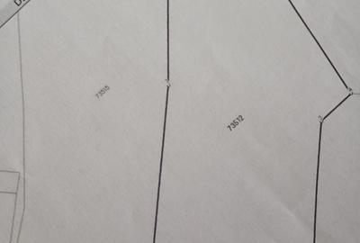 Teren Construcții extravilan de 1953 mp, în Livezile - 5