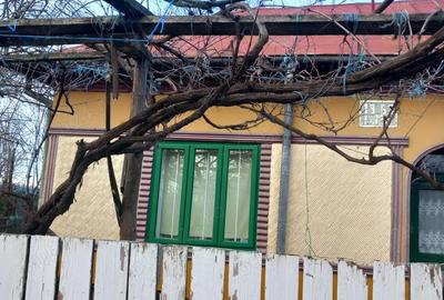 Casă cu 3 camere cu Teren 1980 Mp în Silistraru - 4
