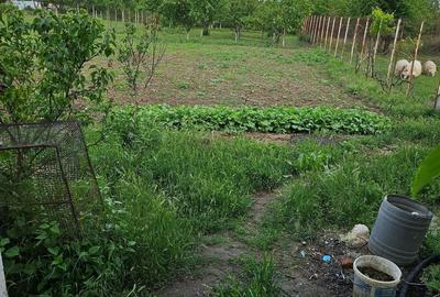 Casă cu 5 camere cu Teren 1566 Mp în Vladimirescu