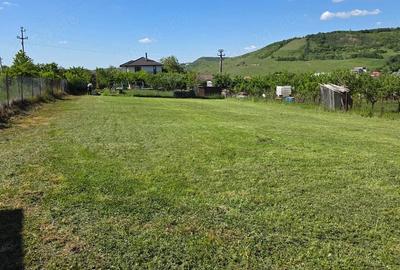 Teren de 1132 mp, în Chinteni