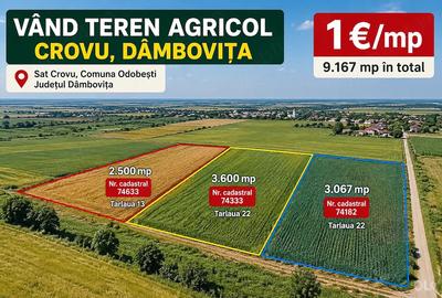 Teren de 9167 mp, în Crovu
