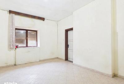 Casă cu 7 camere cu Teren 90000 Mp în Central