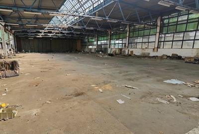 Spațiu comercial, de 4,900 mp, în IAR - 6
