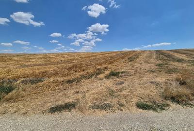 Teren Construcții extravilan de 6500 mp, în Frumușani - 20