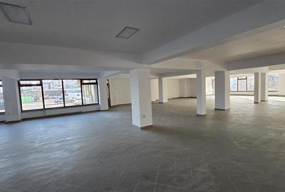 Spațiu comercial, de 757.59997558594 mp, în Burdujeni - 1