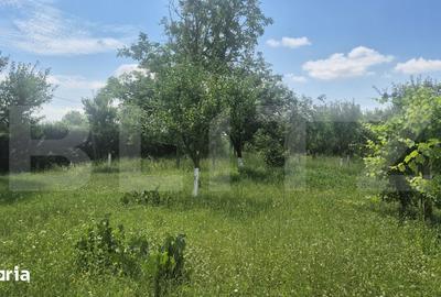 Teren de 5488 mp, în Păulești - 13