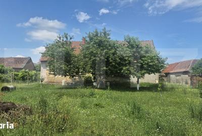 Teren de 5488 mp, în Păulești - 10