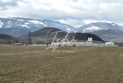 Teren agricol extravilan de 2800 mp, în Tălmaciu - 18