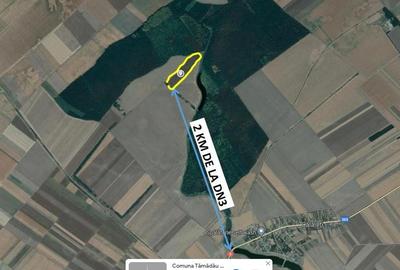 Teren de 46600 mp, în Tămădău Mare - 8